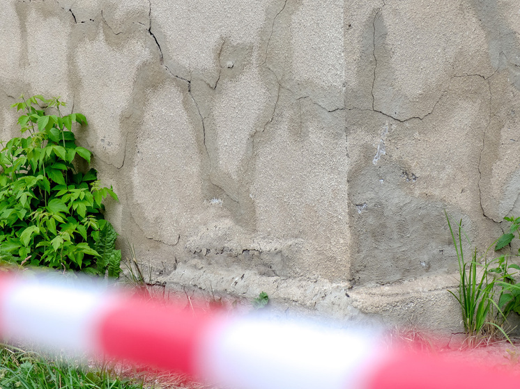 В Китае палеонтологи обнаружили следы динозавров возрастом около 200 млн лет