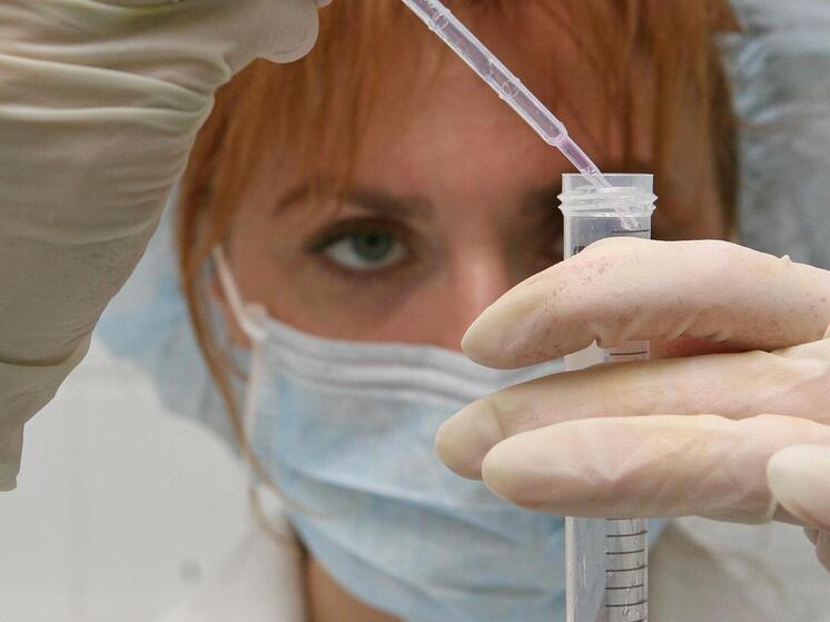 Ученые из Нижнего Новгорода и Москвы изучили бактерии в Баренцевом море, живущие на пластиковых отходах