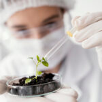 От школьной парты до агропредприятия: как в России готовят новое поколение кадров для АПК