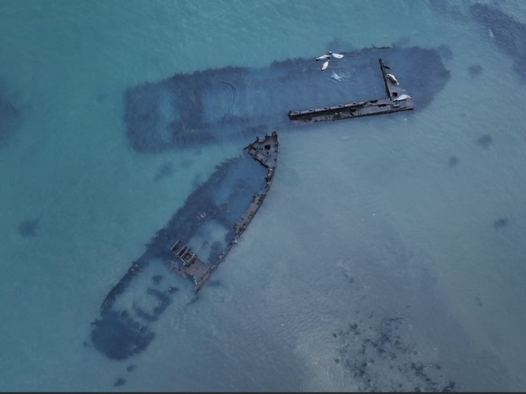 Зеленое будущее: миссия выполнима