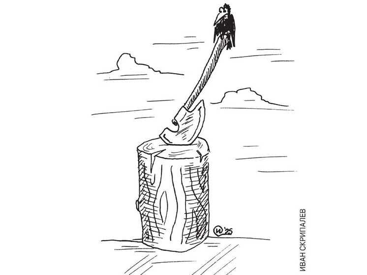 Частичка жизни