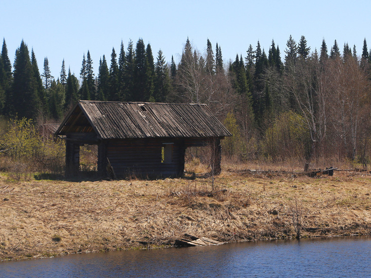 Кошмар для дачника: непутевым владельцам земельных участков штрафы выпишут беспилотники и спутники