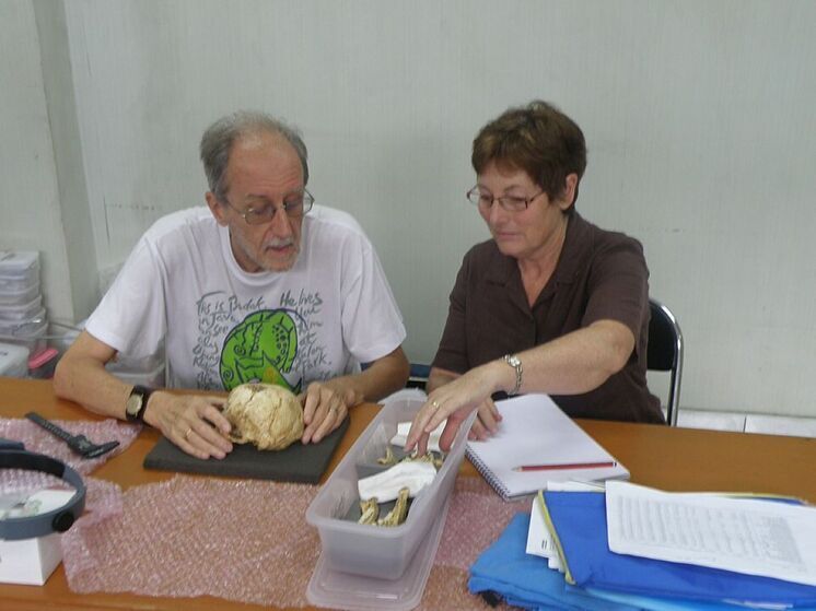 Хоббиты Флореса вымерли не из-за человека: виноват климат