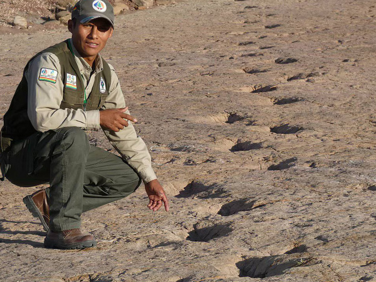 Окно в исчезнувший мир: обнаруженная сокровищница следов динозавров переписала палеонтологию