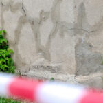 Следы динозавров возрастом около 200 млн лет обнаружили в Китае