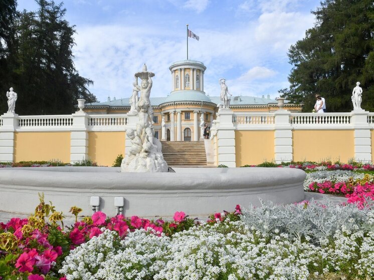 В «Архангельском» решили проверить музейные предметы-декорации на наличие микрогрибов