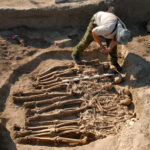 Загадочная окаменелость доисторической стопы оказалась способна встряхнуть все генеалогическое древо человека