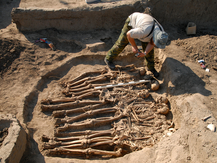 Загадочная окаменелость доисторической стопы оказалась способна встряхнуть все генеалогическое древо человека