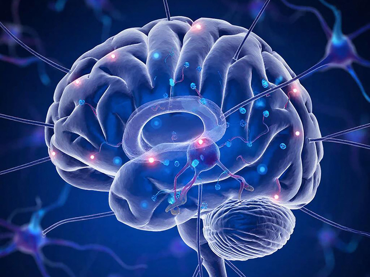 Пьяный мозг не в ладу с собой: доказан разрыв нейронных сетей алкоголем