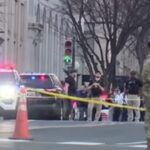 Пятый инцидент направленный против США: неизвестный пытался протаранить ворота Белого дома»>