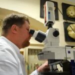 Ученые нашли вещество, побеждающее агрессию при болезни Альцгеймера