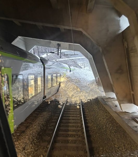 лавина швейцария поезд