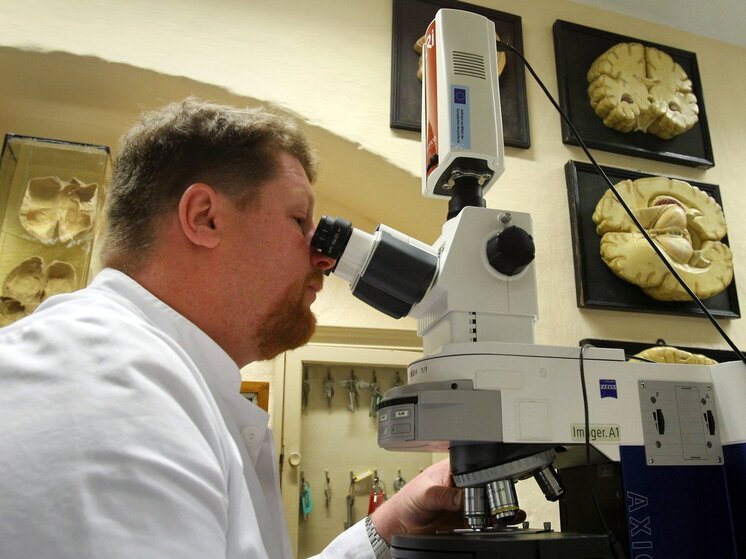 Российские ученые нашли способ уменьшить агрессию у пациентов с Альцгеймером